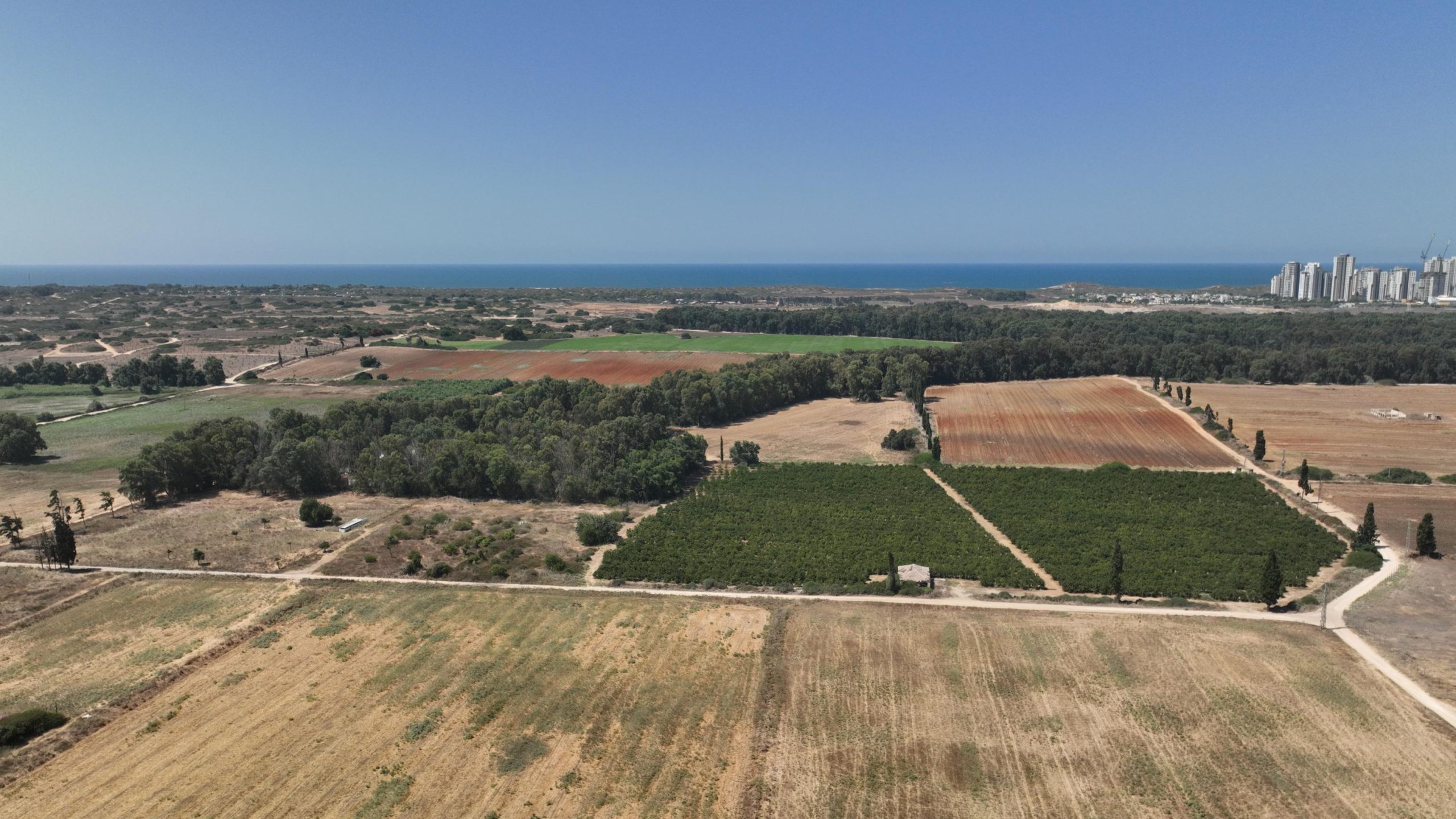 DJI_0410 (1)
